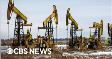 Oil supply shortage sparks concerns of potential economic crash