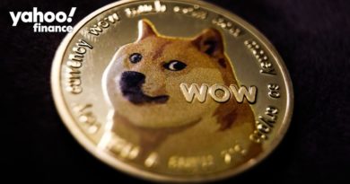 Dogecoin and the Musk Effect: Dogecoin, Shiba Inu, and other meme coins explained