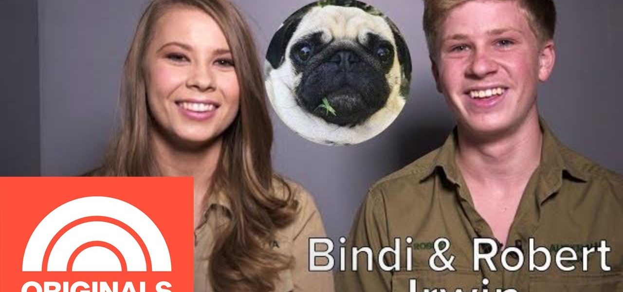 Bindi And Robert Irwin's Family Pug Is ‘One Of The Sweetest Animals’ They Know | My Pet Tale | TODAY