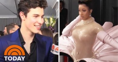 61st Grammy Awards Red Carpet With Cardi B, Shawn Mendes And More | TODAY