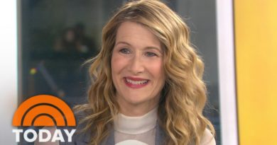 Laura Dern On Her Many Roles: ‘Wilson,’ ‘The Founder,’ HBO's ‘Big Little Lies’ | TODAY