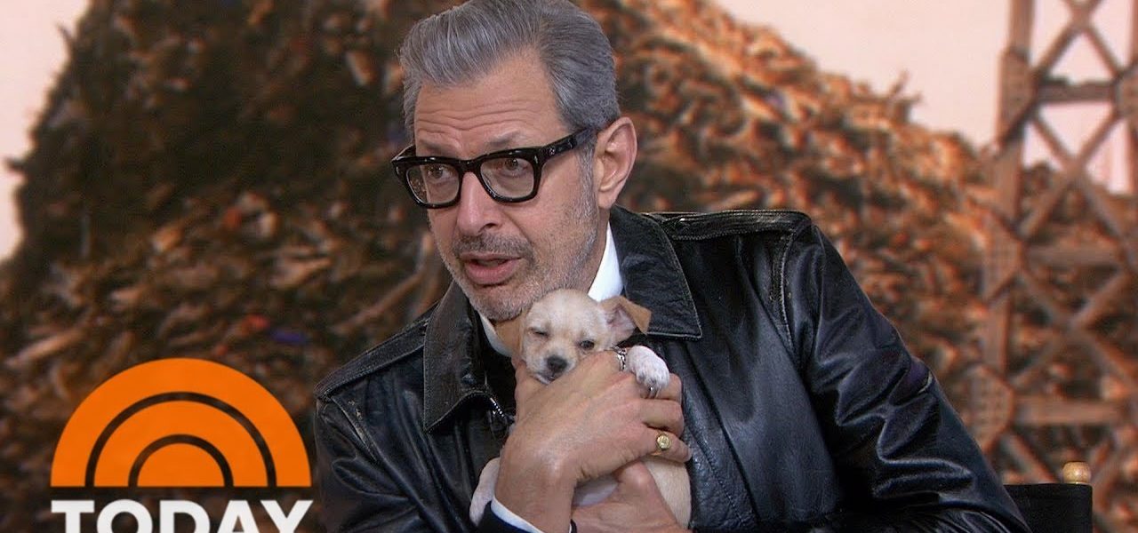 Jeff Goldblum Talks About His New Movie, ‘Isle Of Dogs’ | TODAY