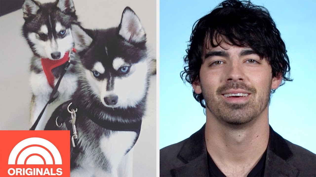 Joe Jonas and Sophie Turner’s Puppy Family | My Pet Tale | TODAY ORIGINALS