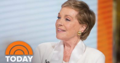 Julie Andrews On ‘Despicable Me 3,’ Mary Poppins Sequel, Netflix Show | TODAY