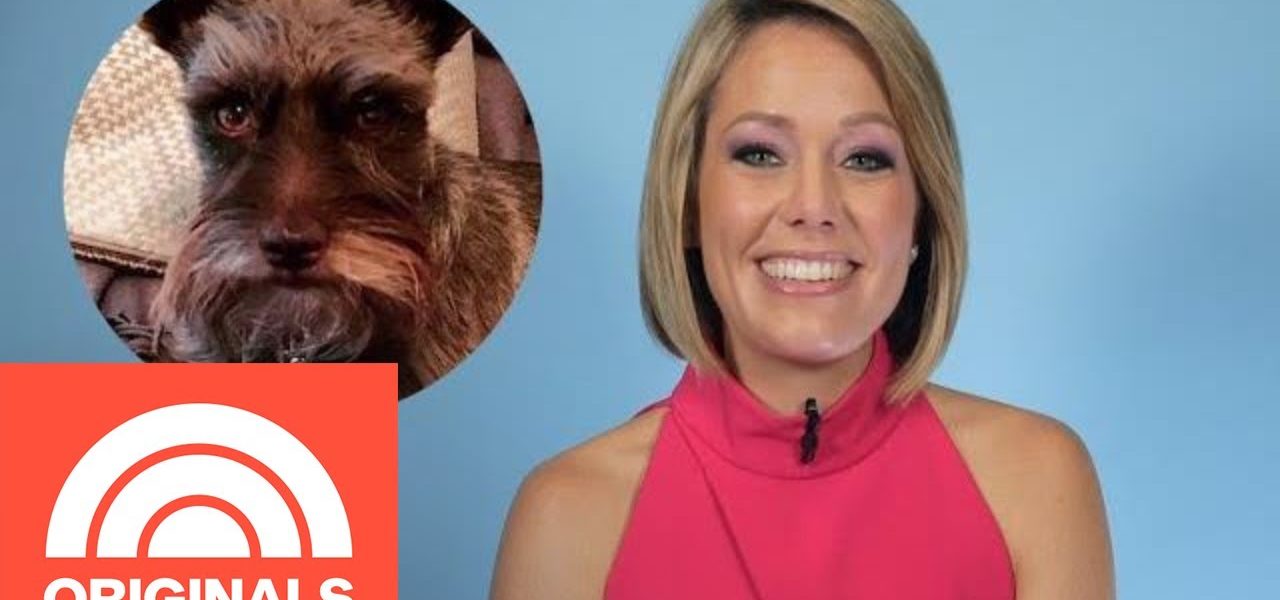 Why Dylan Dreyer Named Her Dog After A ‘Seinfeld’ Reference | My Pet Tale | TODAY