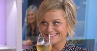 Amy Poehler Interview: New Memoir 'Yes Please' | TODAY