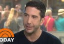 David Schwimmer Talks About ‘Feed The Beast,’ ‘People V. O.J.’ | TODAY