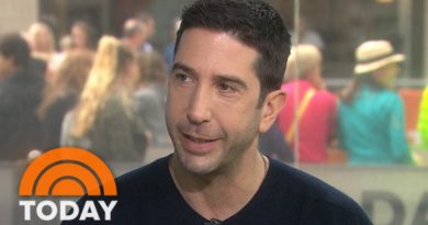 David Schwimmer Talks About ‘Feed The Beast,’ ‘People V. O.J.’ | TODAY
